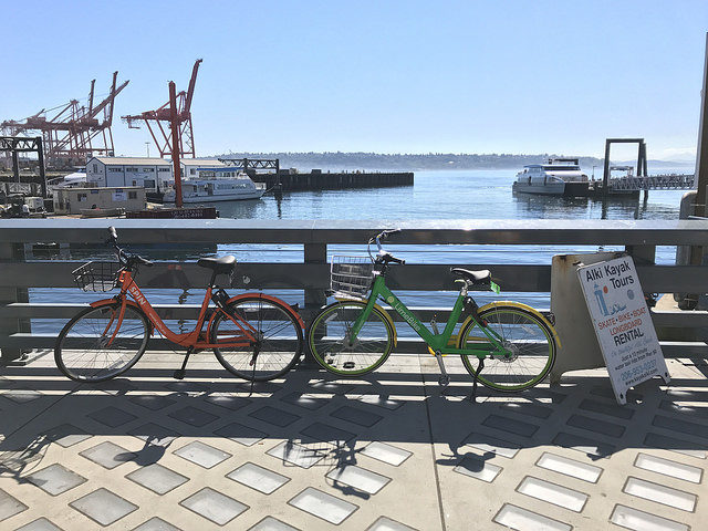 Seattle Lime Spin